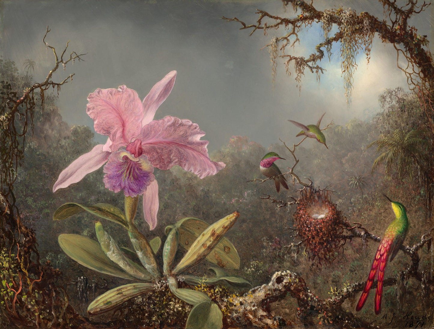 🌸 Cattleya Orchid and Three Hummingbirds, 1871 - Art print